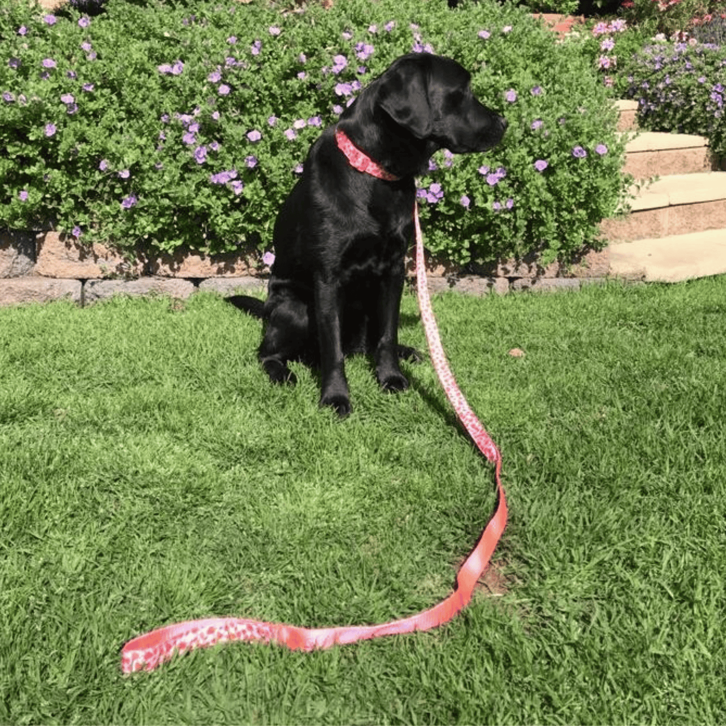 Pattern Lead | strawberry print