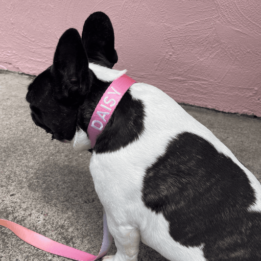 Ombré Collar | summer sunset