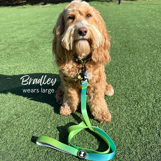 Ombré Lead | neon green