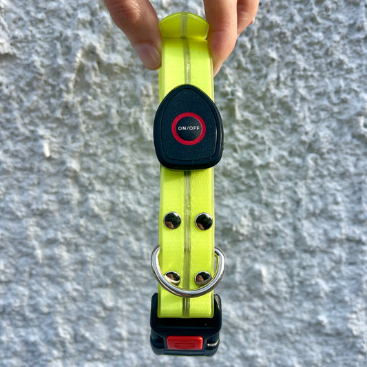 Waterproof LED Disco Collar | hi vis yellow