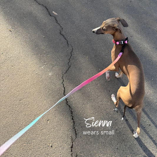 Ombré Lead | summer sunset