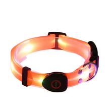 Load image into Gallery viewer, LED Disco Collar | hi vis orange
