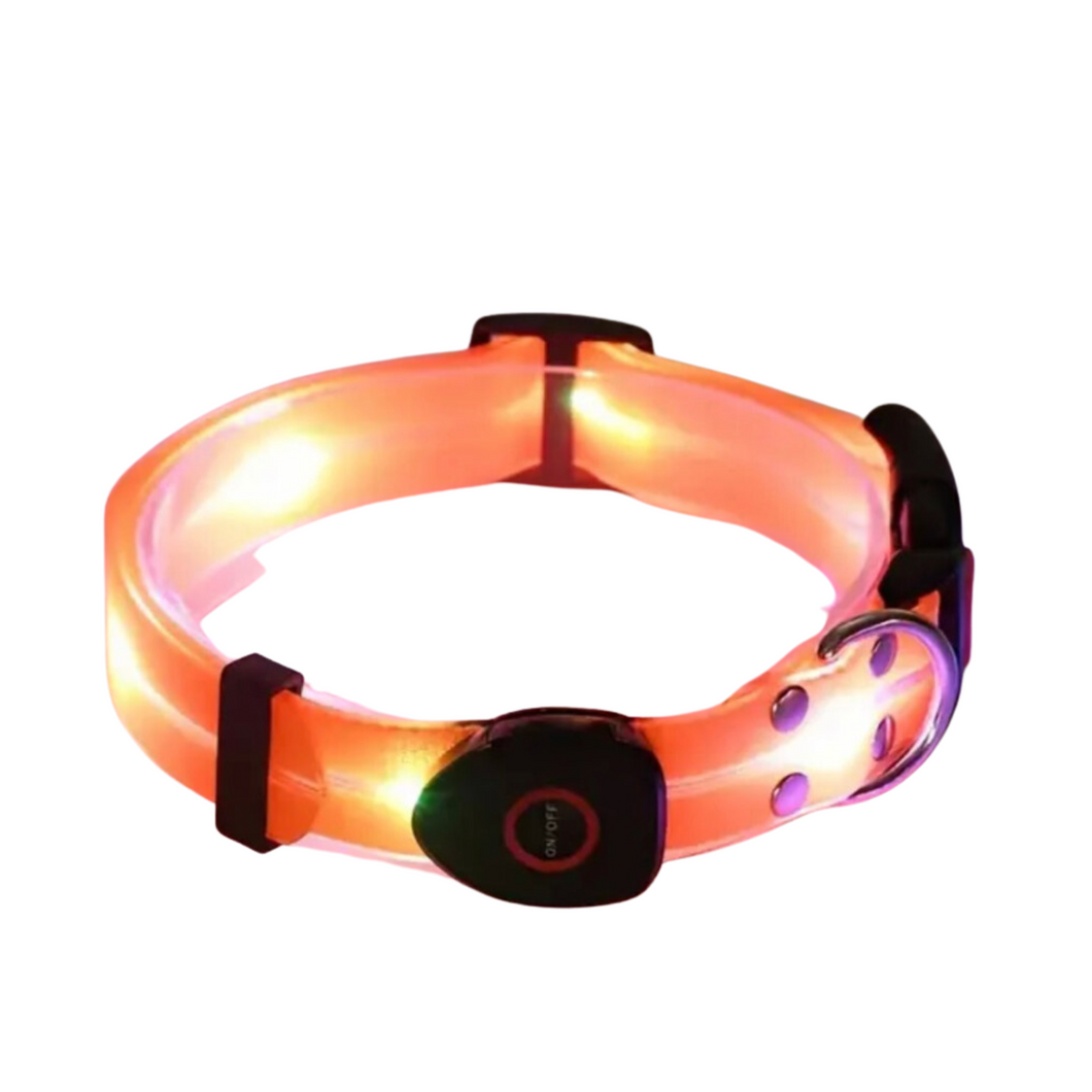 LED Disco Collar | hi vis orange