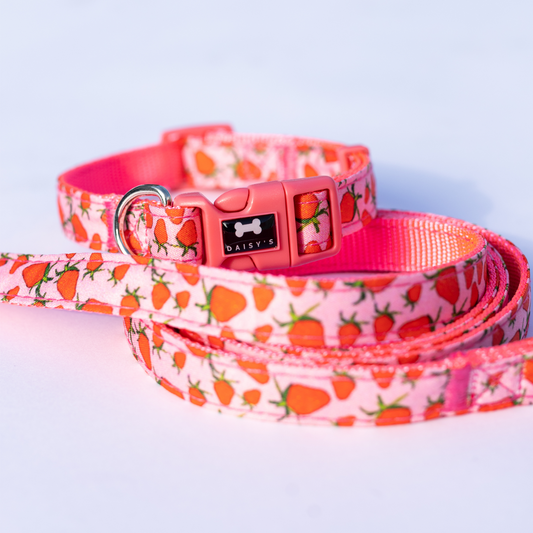 Pattern Collar and Lead Bundle | strawberry print