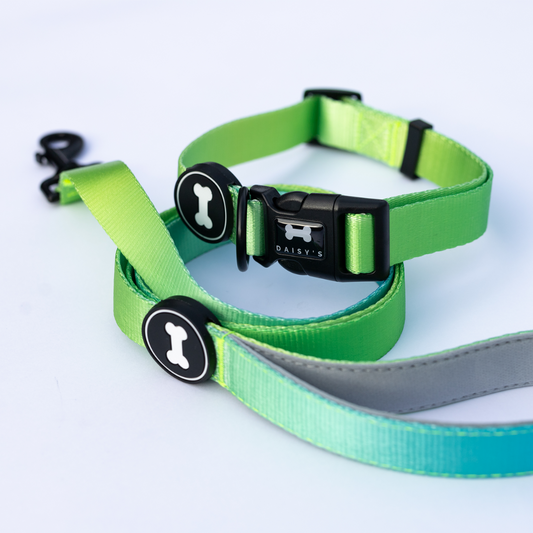 Ombré Collar and Lead Bundle | neon green