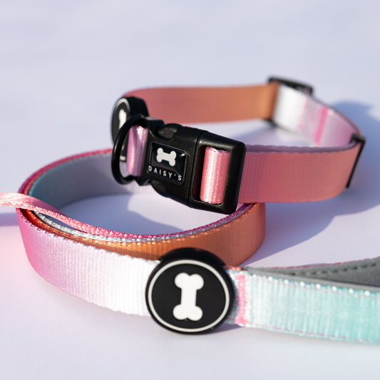 Ombré Collar and Lead Bundle | summer sunset