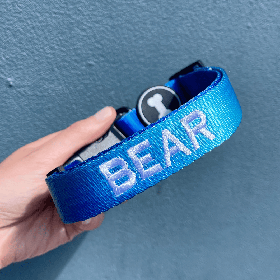 Ombré Collar | electric blue