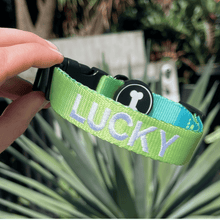 Load image into Gallery viewer, Ombré Collar | neon green
