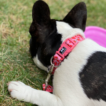 Load image into Gallery viewer, Pattern Collar and Lead Set | strawberry print
