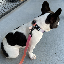 Load image into Gallery viewer, Ombré Collar | summer sunset
