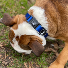 Load image into Gallery viewer, Ombré Collar and Lead Set | electric blue
