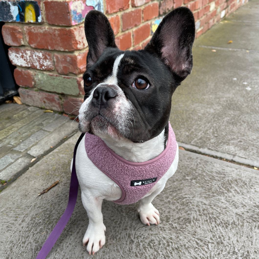 Teddy Harness | violet shearling