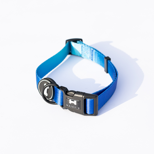 Ombré Collar | electric blue