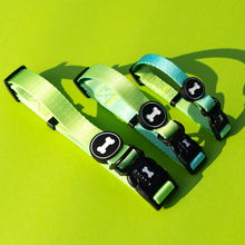 Load image into Gallery viewer, Ombré Collar | neon green
