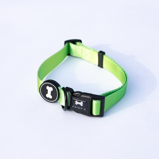 Ombré Collar | neon green