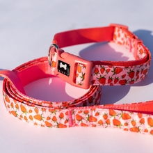 Load image into Gallery viewer, Pattern Lead | strawberry print
