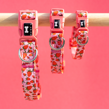 Load image into Gallery viewer, Pattern Collar | strawberry print
