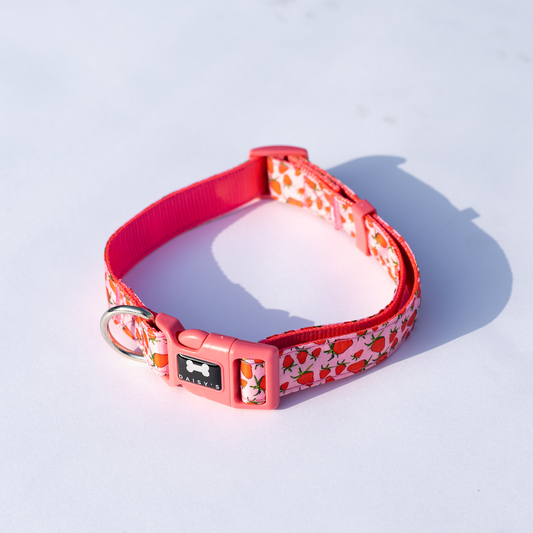 Pattern Collar | strawberry print
