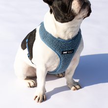 Load image into Gallery viewer, Teddy Harness | blue shearling
