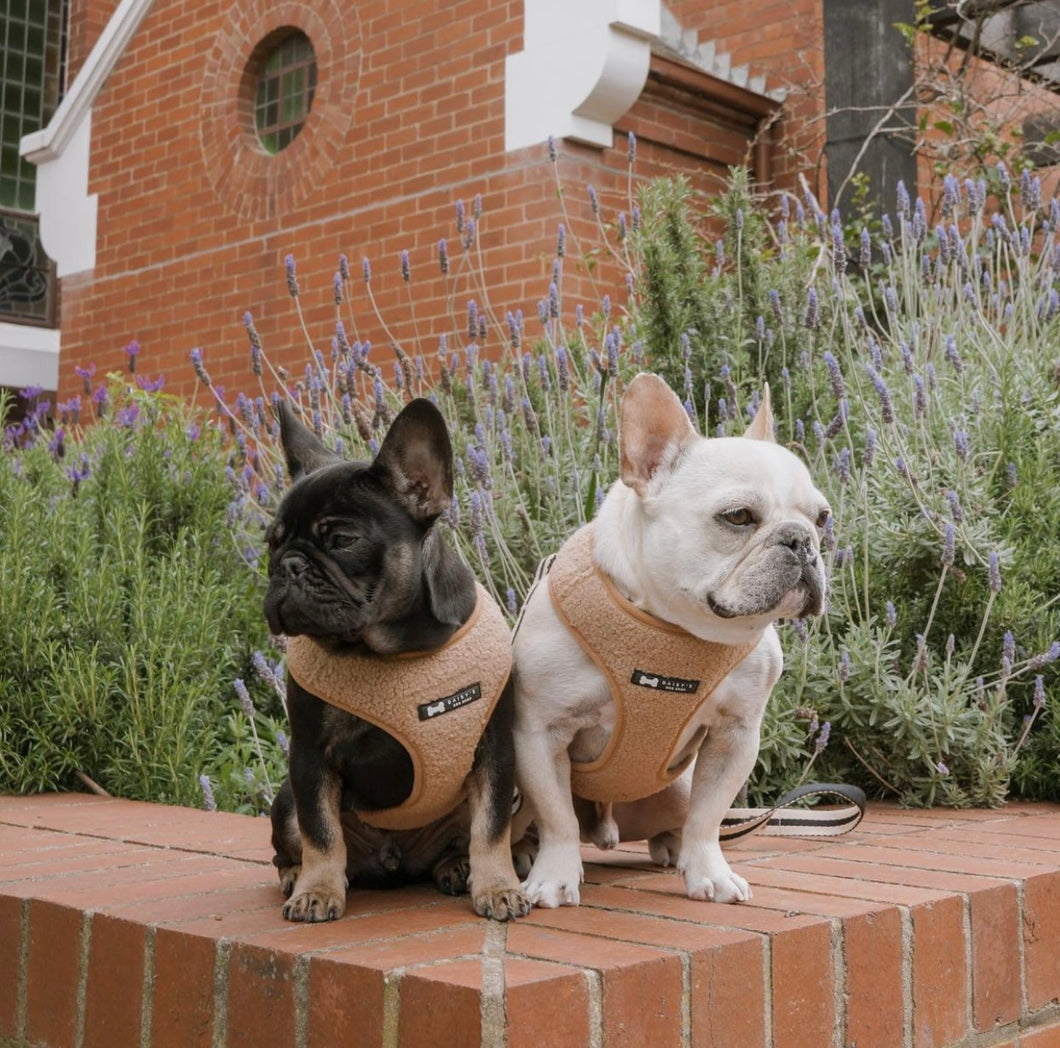 Teddy Harness | natural shearling