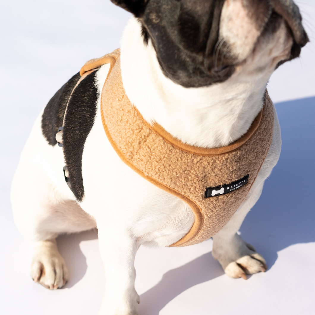 Teddy Harness natural shearling Daisy s Dog Shop