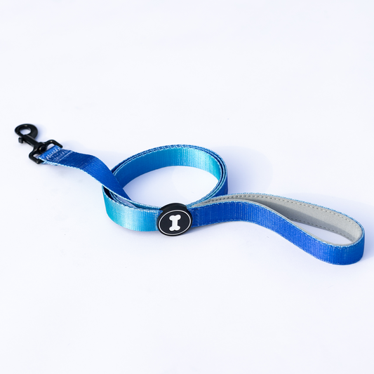 Ombré Lead | electric blue
