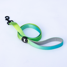 Load image into Gallery viewer, Ombré Collar and Lead Set | neon green
