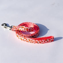 Load image into Gallery viewer, Pattern Collar and Lead Set | strawberry print
